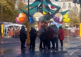 El árbol de grandes dimensiones que se ha convertido en la principal atracción en Bib-Rambla.