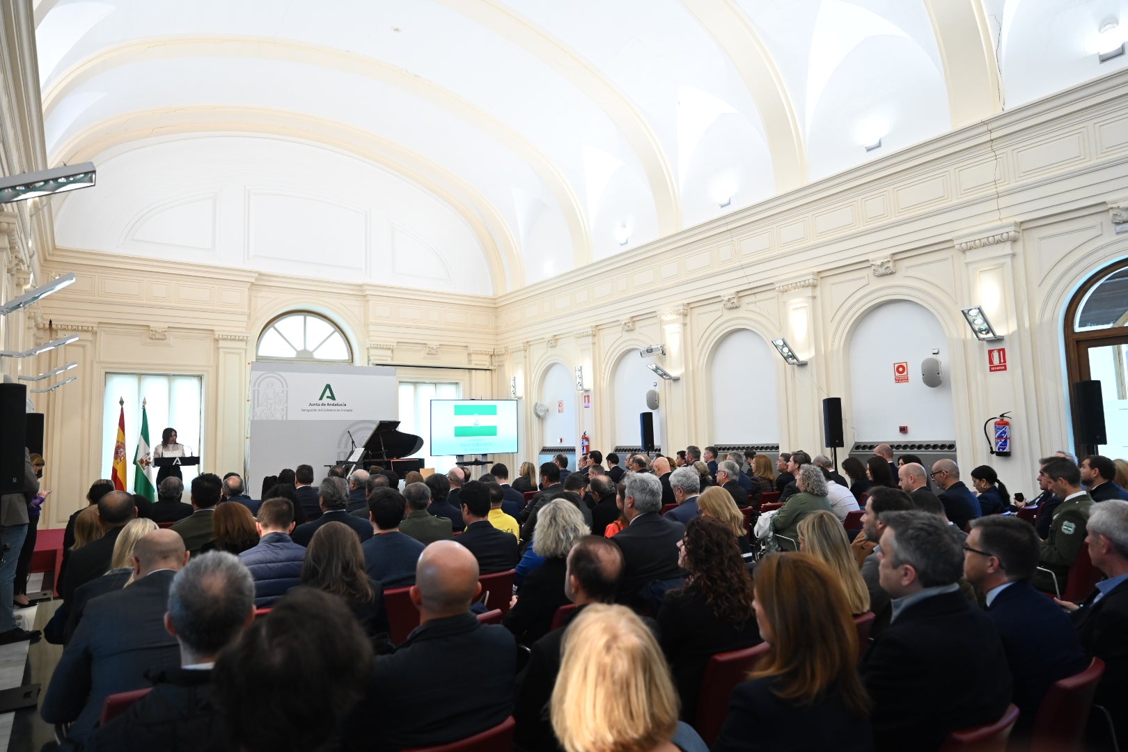 El Día de la Bandera de Andalucía en Granada, en imágenes