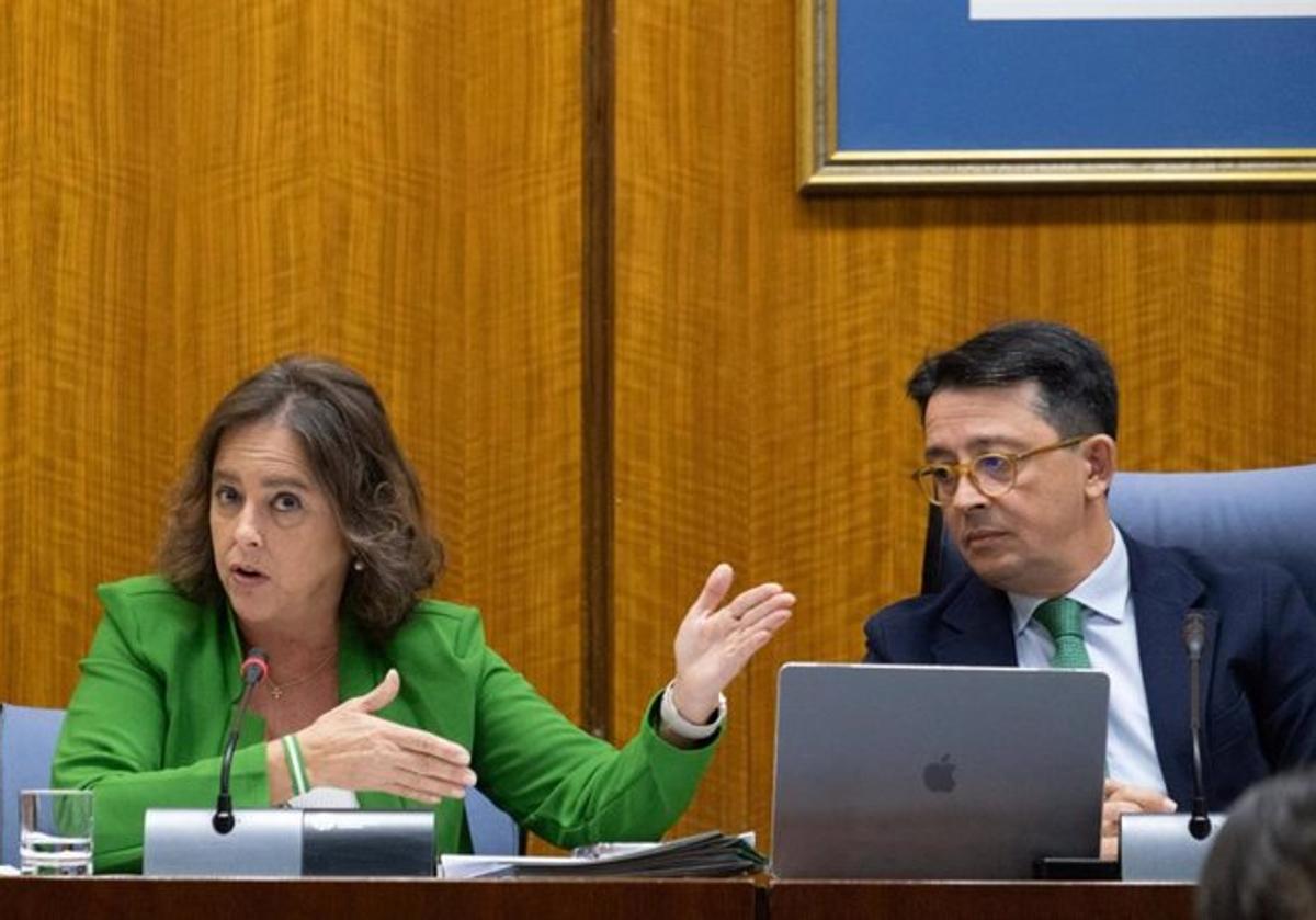 Catalina García, en la comisión parlamentaria de Sostenibilidad y Medio Ambiente