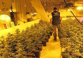 Imagen de archivo de una intervención de la Guardia Civil.