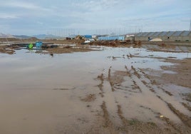 Las zonas en las que irán los nuevos campos de fútbol en la Ciudad Deportiva del Granada, inundadas.