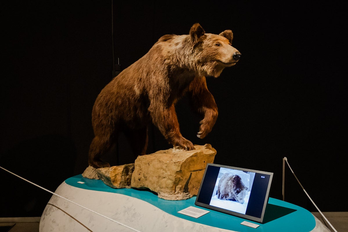 Las mejores imágenes de la exposición &#039;BioInspiración&#039; en el Parque de las Ciencias de Granada