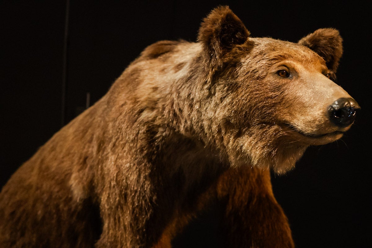 Las mejores imágenes de la exposición &#039;BioInspiración&#039; en el Parque de las Ciencias de Granada