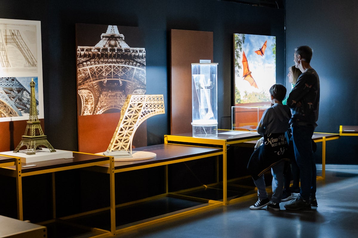 Las mejores imágenes de la exposición &#039;BioInspiración&#039; en el Parque de las Ciencias de Granada