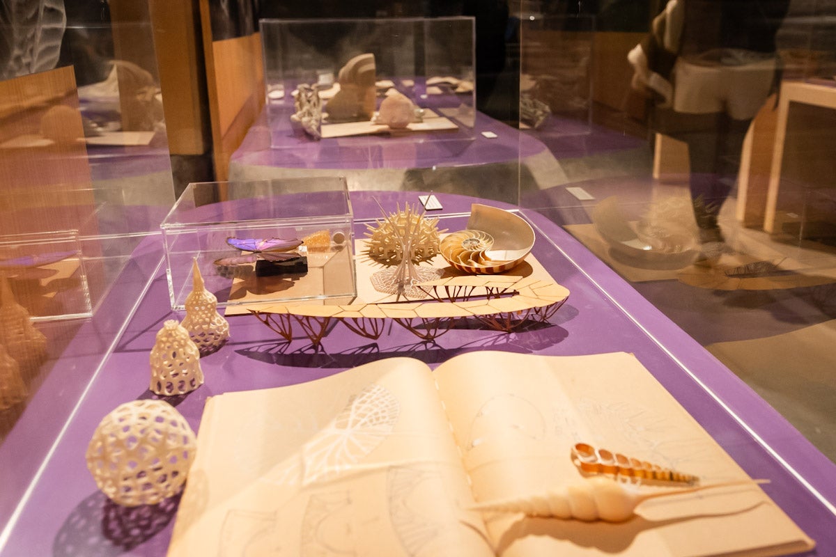 Las mejores imágenes de la exposición &#039;BioInspiración&#039; en el Parque de las Ciencias de Granada