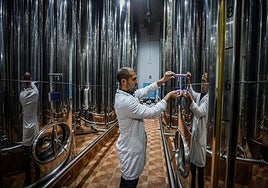 Imagen de las 'tripas' de una gran almazara.