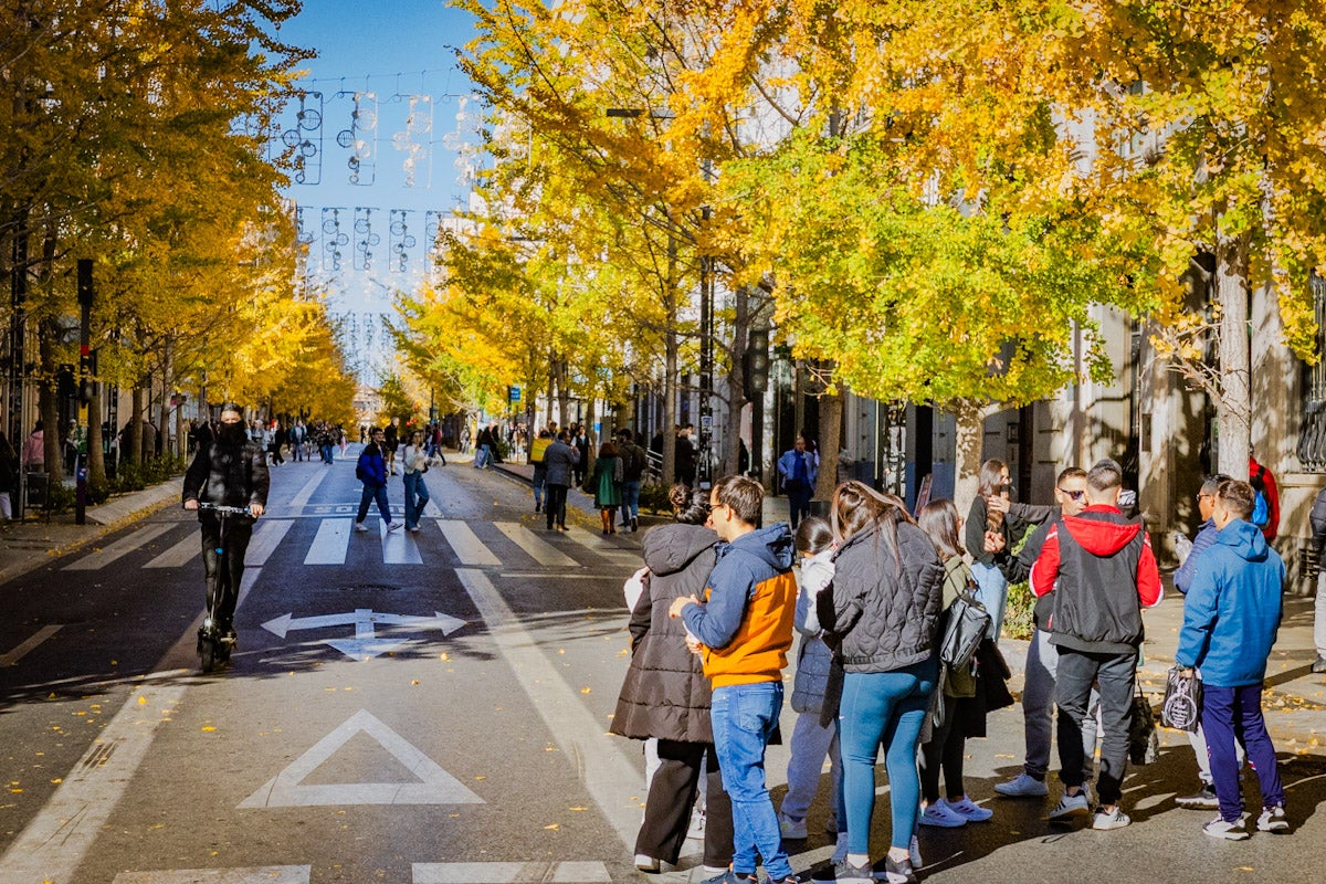 El turismo y la Navidad toman Granada por el puente de diciembre