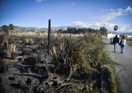 Zona quemada por las llamas.