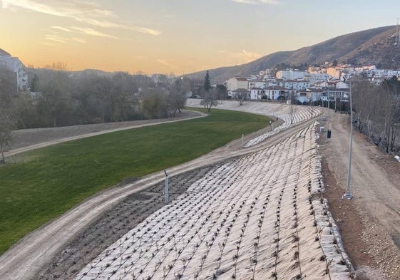 Paseo del Genil, el mayor proyecto de renaturalización.