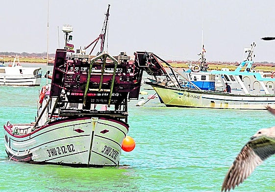 Barcos de pesca en el litoral andaluz.
