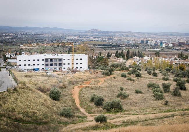 Los terrenos en los que está prevista la urbanización.