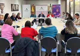 Reunión de la comisión sobre violencia de género