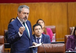 Juan Espadas, en una sesión parlamentaria.