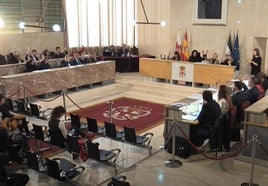 Votación de la moción presentada por Vox en defensa de las asociaciones provida.