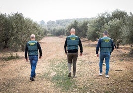 El equipo Roca de la compañía de Armilla de la Guardia Civil recorre un campo de olivos del área metropolitana.