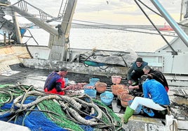 Los pescadores clasifican el género en el barco.