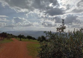 Otra postal de Granada. La ruta al Llano de la Perdiz ofrece unas vistas diferentes.