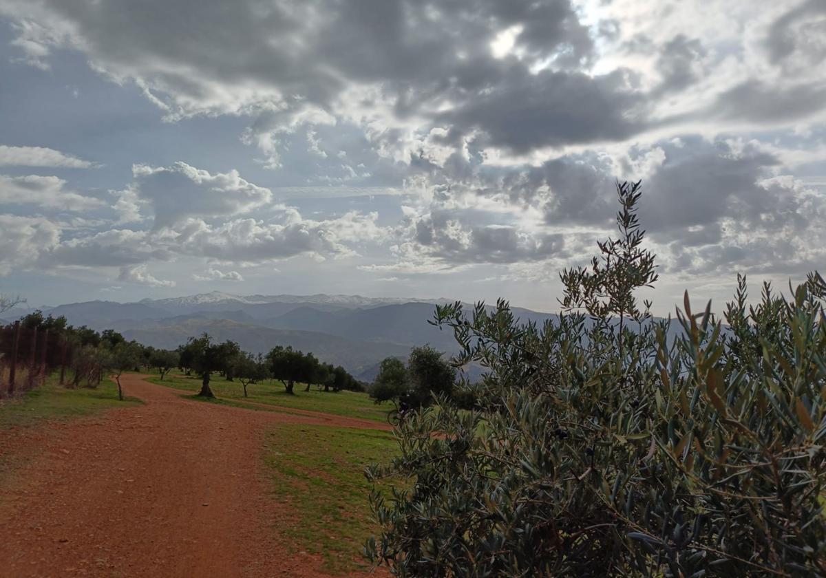 Otra postal de Granada. La ruta al Llano de la Perdiz ofrece unas vistas diferentes.