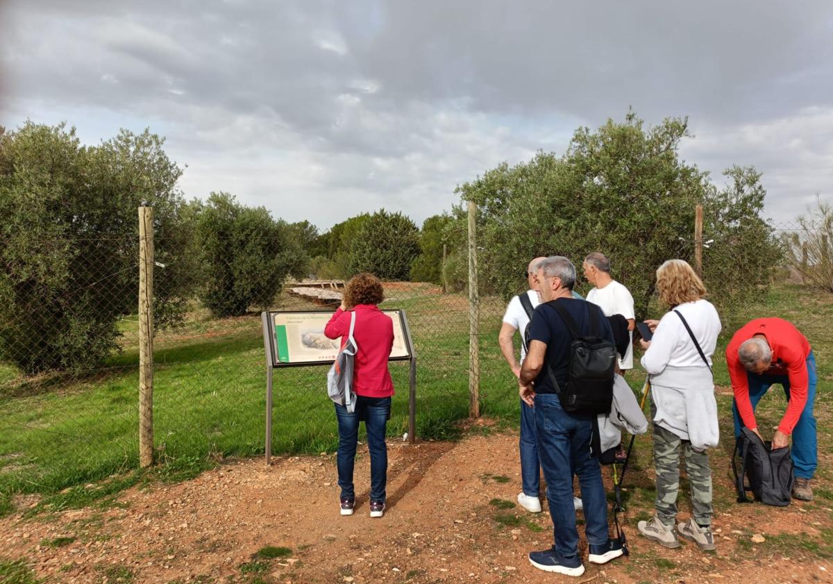 Imagen principal - La maravillosa ruta de los paneles del Llano de la Perdiz