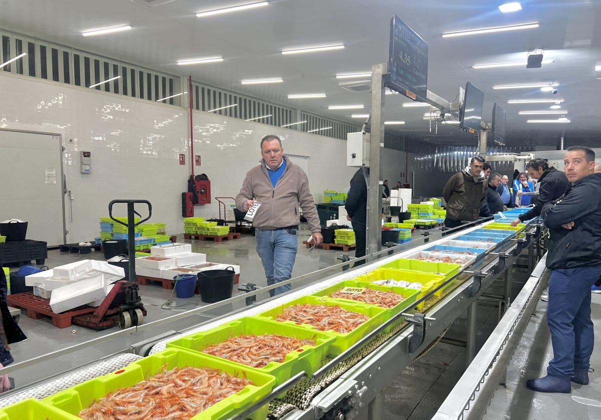 Subasta de pescado en la lonja de Motril.