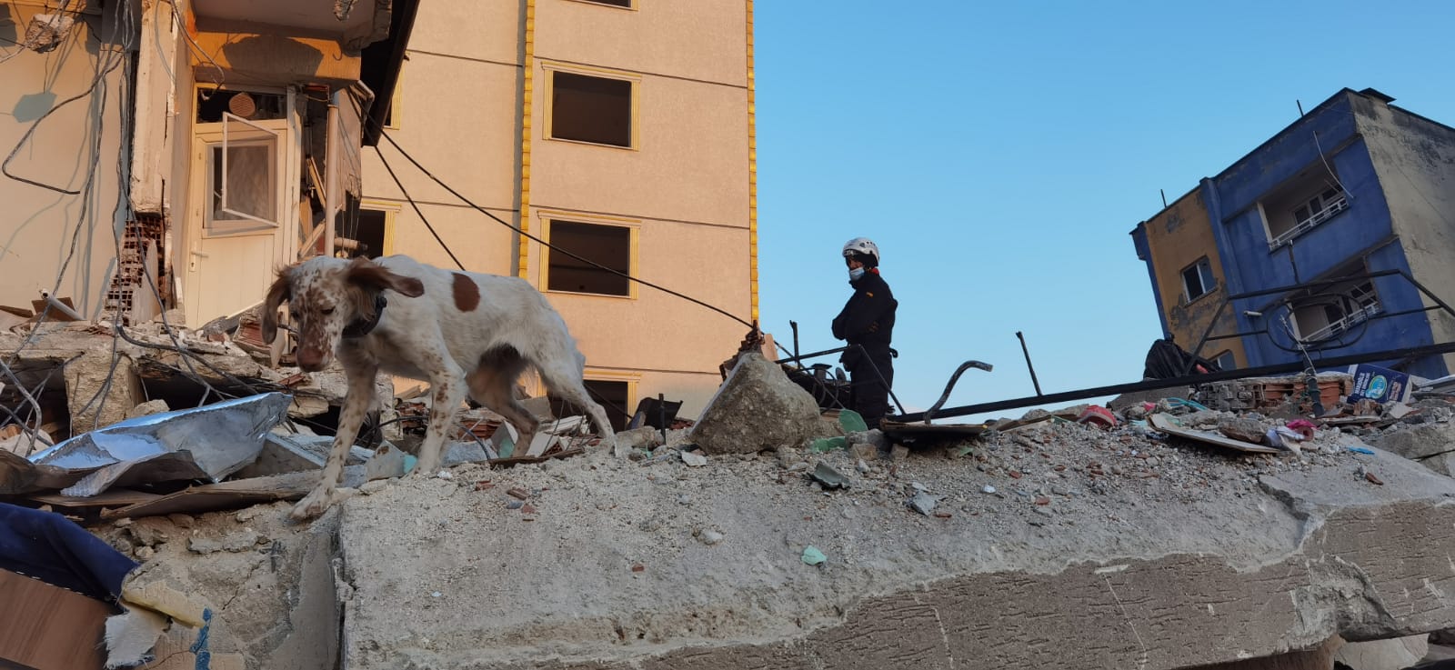 Bomberos de Granada: tres décadas de rescates y servicio