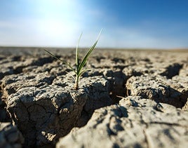 La UAL desarrollará en solitario sus dos proyectos para combatir la sequía.
