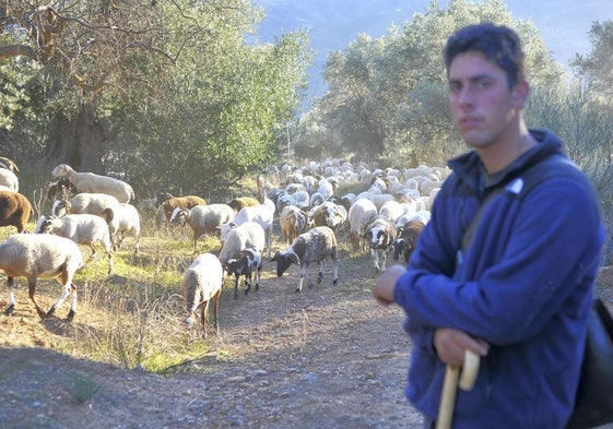 Abraham, junto a su rebaño en Órgiva.