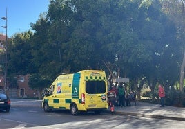 Ambulancia atendiendo al afectado en Los Molinos.