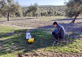 Imagen de un agricultor en una finca de olivar