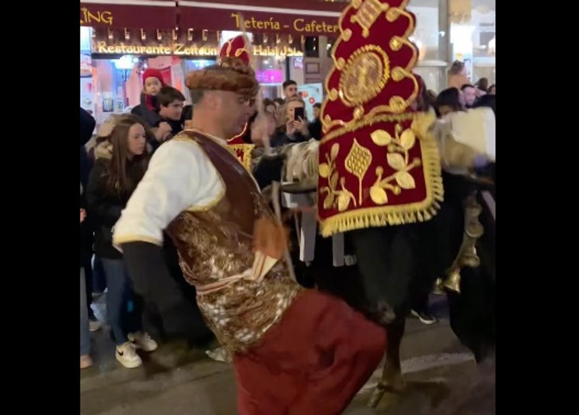 Momento de la patada a un buey durante la cabalgata del Heraldo.