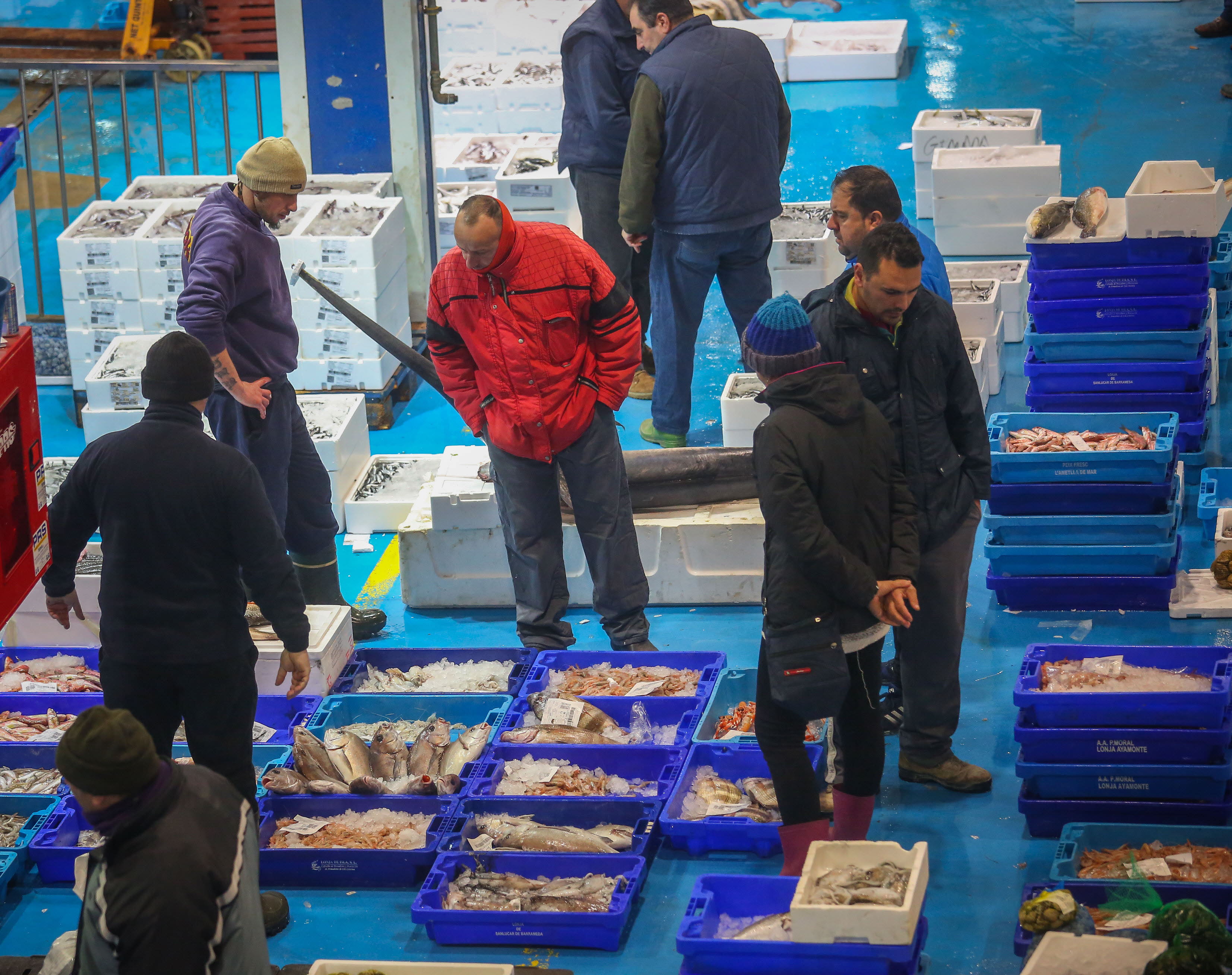 El pabellón del pescado de Mercagranada.