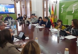 Reunión del grupo de trabajo Espacio Europa de la Diputación.