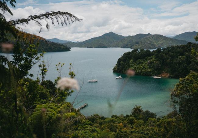 En plena naturaleza.