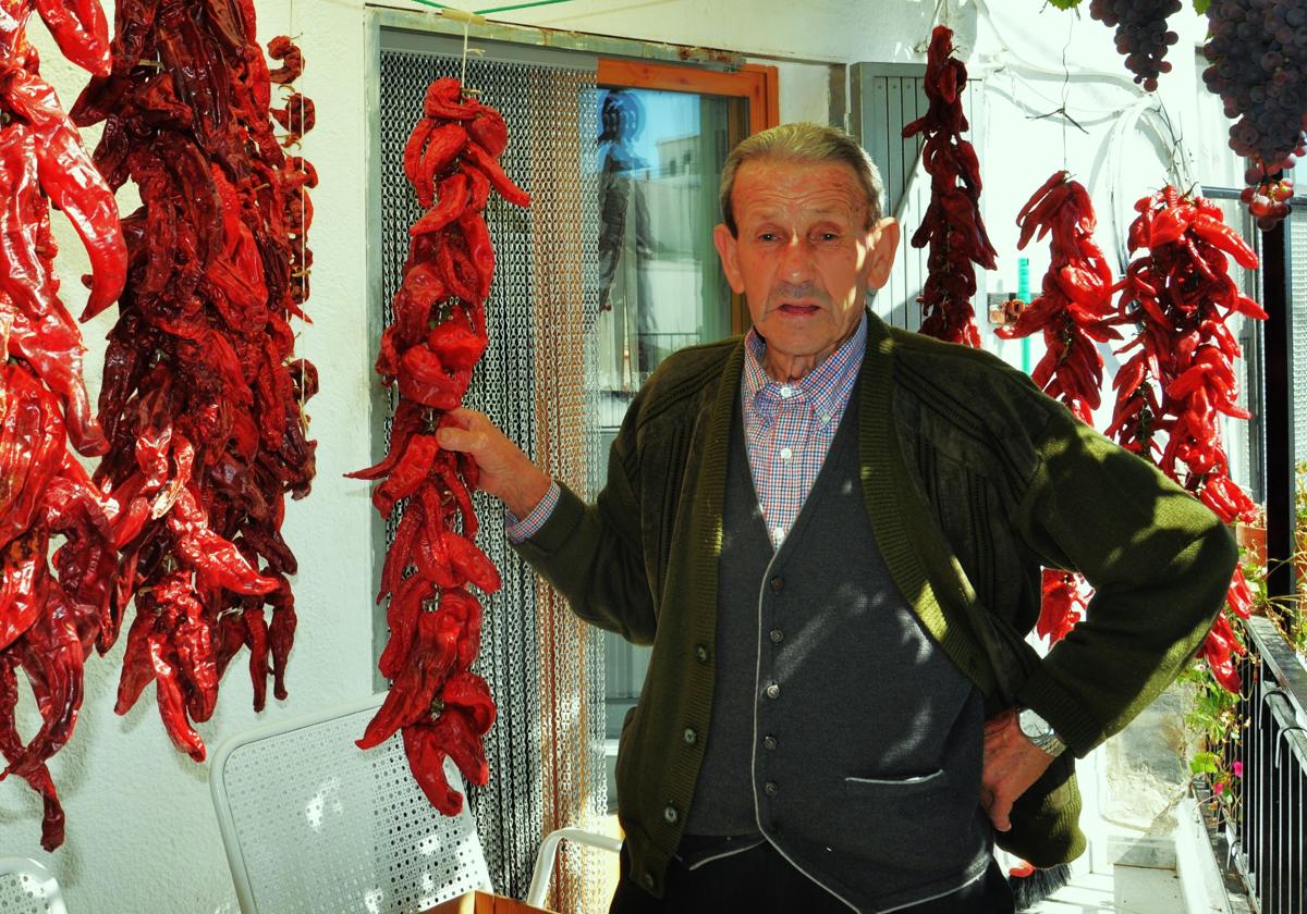 José Mingorance Peregrina.