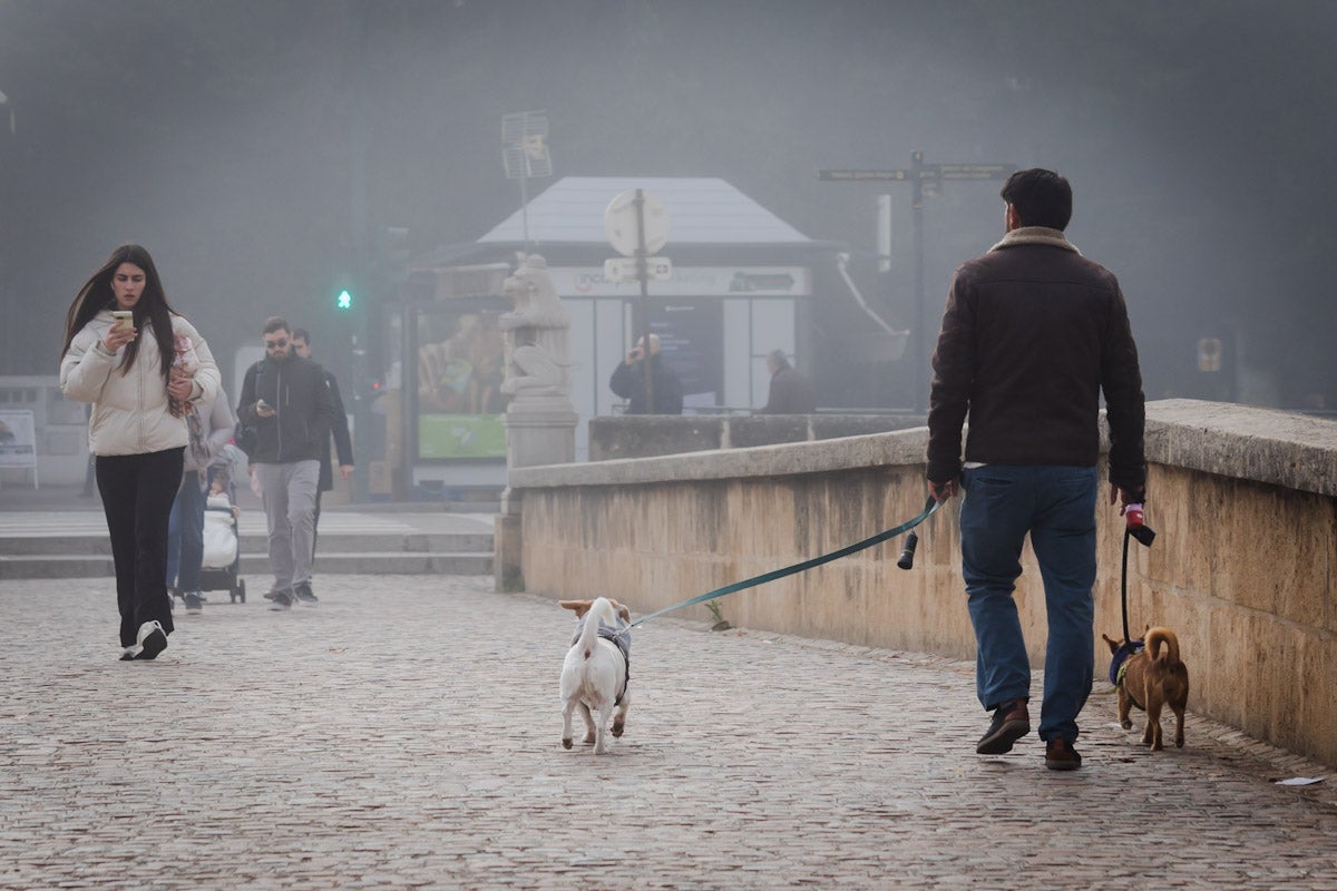 Las mejores fotografías de la niebla sobre Granada