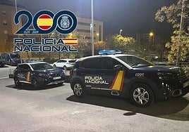 Pillado robando varios altavoces en pleno Centro de Granada un habitual ladrón conocido por la Policía