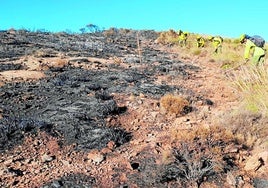 Efectivos del Plan Infoca trabajan en un incendio forestal en una imagen de archivo.