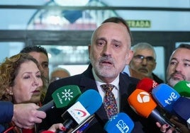 Luis Ángel Hierro, candidato crítico en el PSOE de Andalucía.