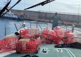 Guardia Civil interviene 74 nasas de pesca.