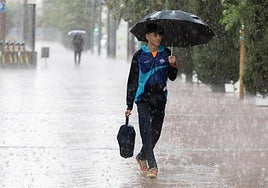 Vuelven las lluvias a Andalucía