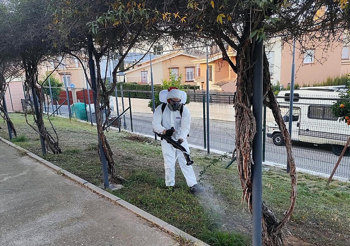 Imagen principal - Un operario fumiga a las orugas en un parque de Huétor Vega. Una de las zonas verdes cerradas por el tratamiento con pesticidas. Un ejemplar de oruga de los prados. 