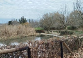 Estado del parque del Vivero