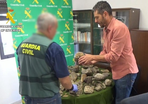 Fósiles de mamut incautados por la Guardia Civil.