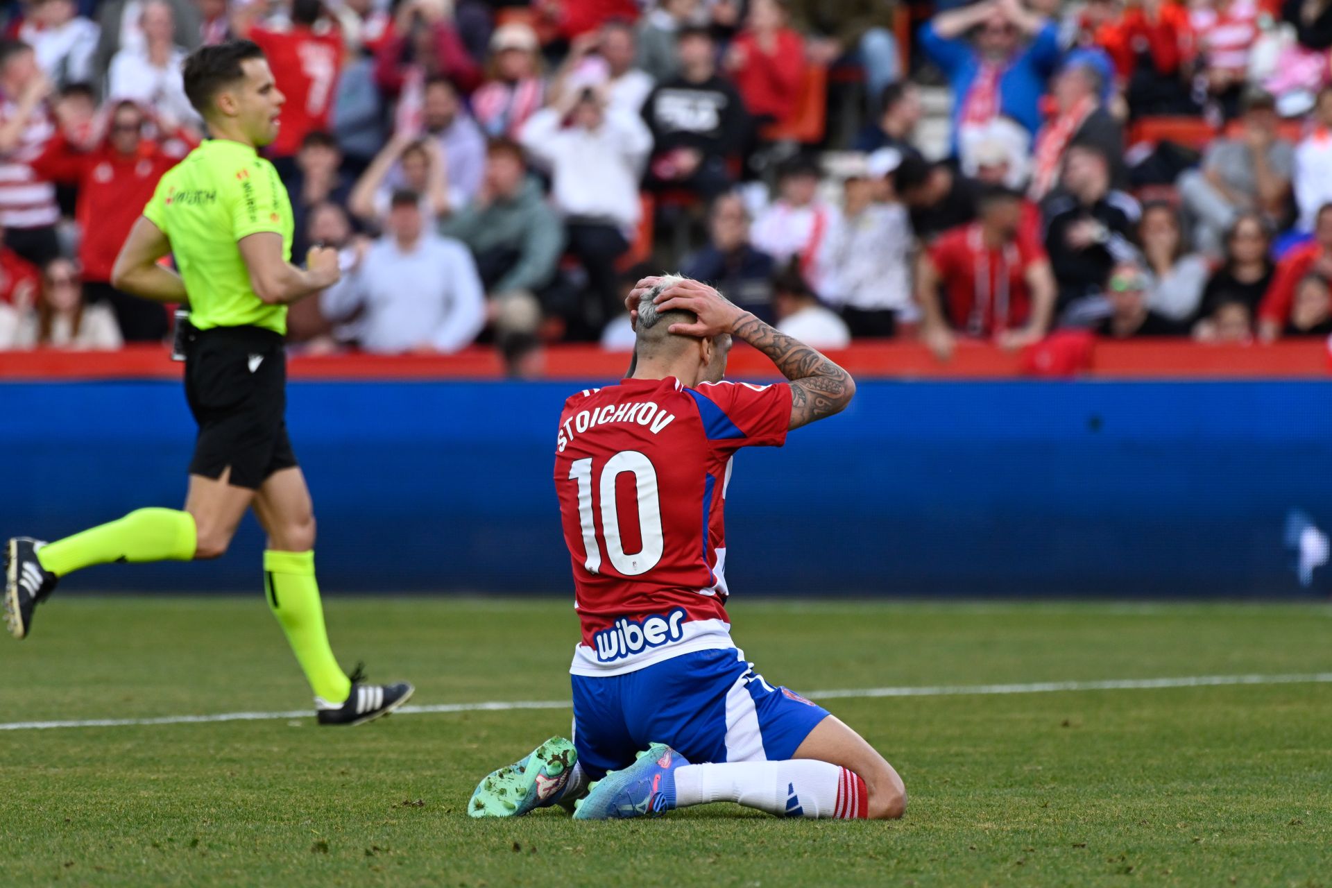 Las mejores imágenes del Granada - Sporting