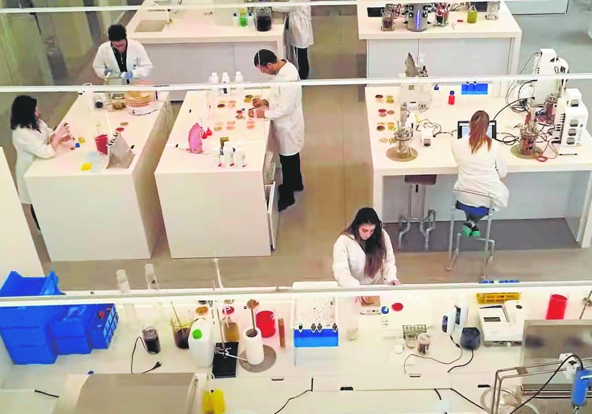 Tres empresas del agro de Almería se cuelan entre las compañías más dinámicas del país