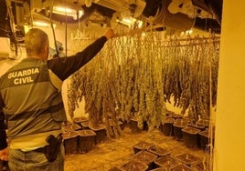 Cae el 'chalet de la marihuana' de unos albaneses narcos de La Zubia.