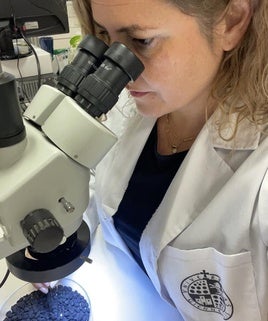 Eva María Montes estudiando estos de huesos de aceituna en el microscopio