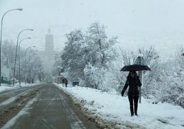 Temporal de nieve.