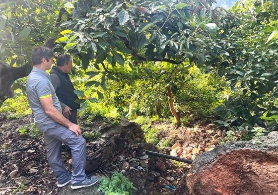 Daños en los caminos de las fincas de los agricultores de Otívar.