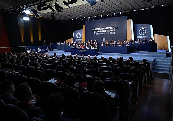 Un instante de la asamblea general celebrada en Madrid.